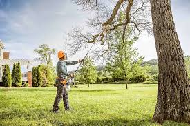 Best Tree and Shrub Care  in Winthrop Harbor, IL