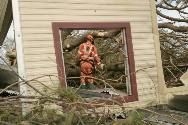 Best Root Management and Removal  in Winthrop Harbor, IL