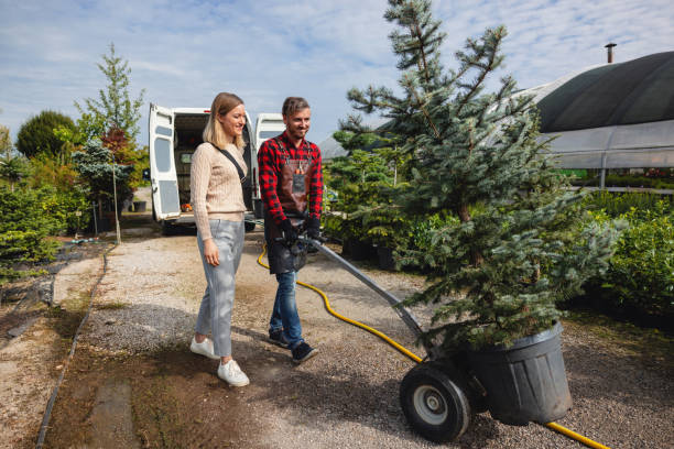 Best Weed Control  in Winthrop Harbor, IL